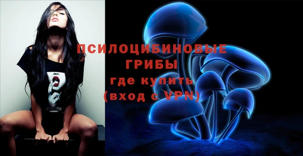 спайс Аркадак