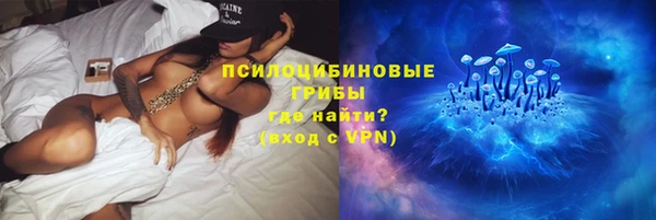 винт Армянск