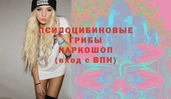винт Армянск